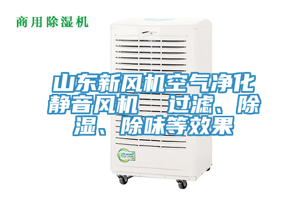 山東新風(fēng)機(jī)空氣凈化靜音風(fēng)機(jī)  過濾、除濕、除味等效果