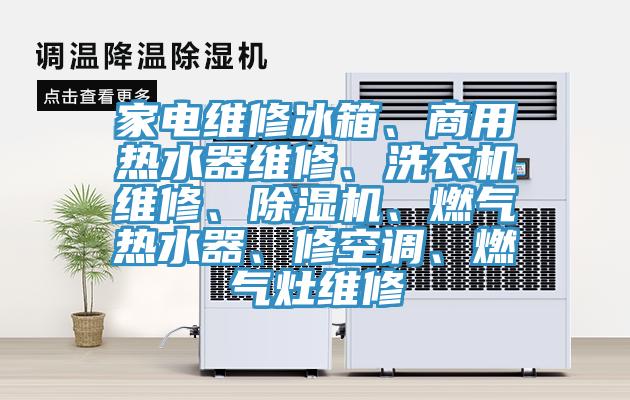 家電維修冰箱、商用熱水器維修、洗衣機(jī)維修、除濕機(jī)、燃?xì)鉄崴鳌⑿蘅照{(diào)、燃?xì)庠罹S修