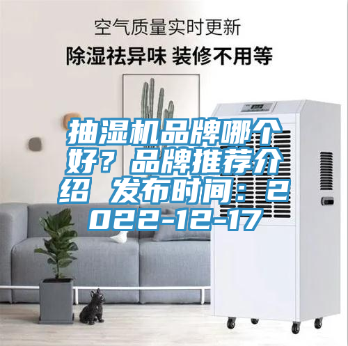 抽濕機品牌哪個好？品牌推薦介紹 發(fā)布時間：2022-12-17