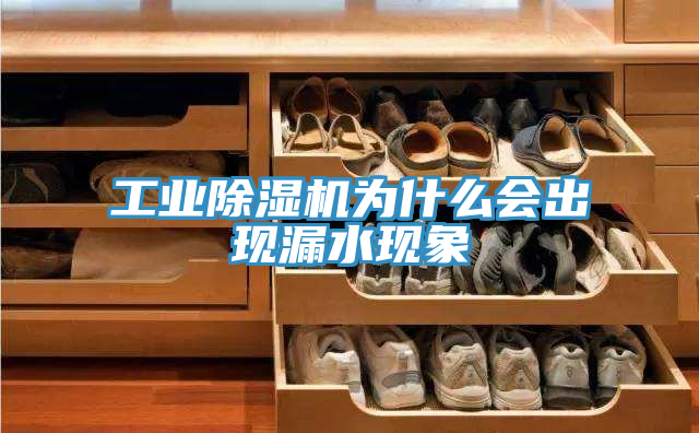 工業(yè)除濕機(jī)為什么會出現(xiàn)漏水現(xiàn)象