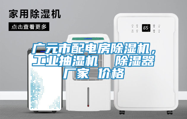 廣元市配電房除濕機(jī)，工業(yè)抽濕機(jī)  除濕器廠家 價格