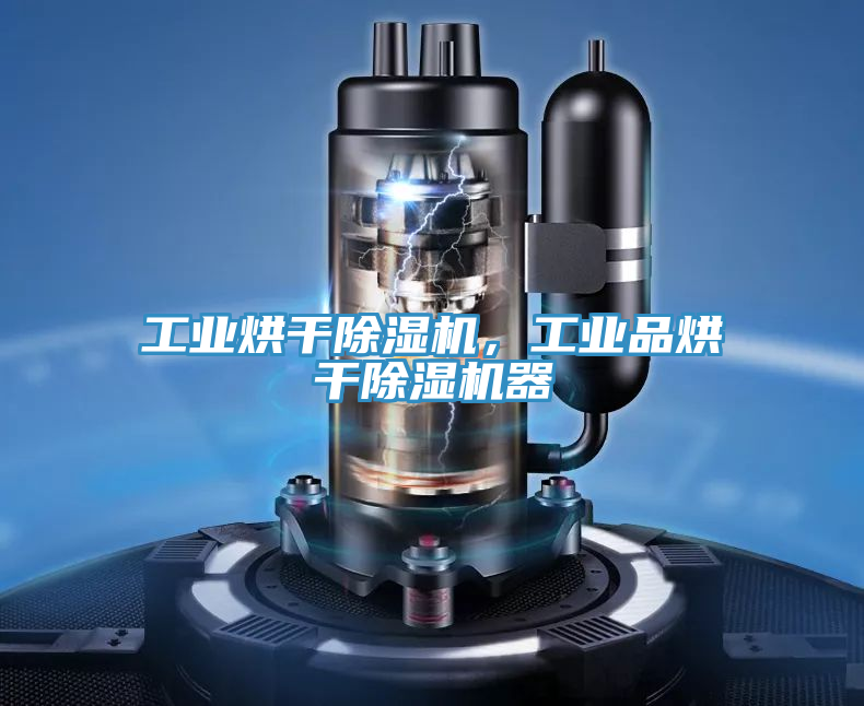 工業(yè)烘干除濕機(jī)，工業(yè)品烘干除濕機(jī)器