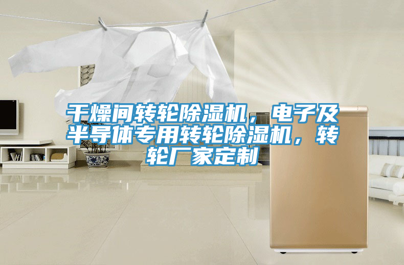 干燥間轉(zhuǎn)輪除濕機(jī)，電子及半導(dǎo)體專用轉(zhuǎn)輪除濕機(jī)，轉(zhuǎn)輪廠家定制