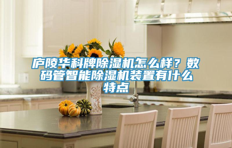 廬陵華科牌除濕機怎么樣？數(shù)碼管智能除濕機裝置有什么特點