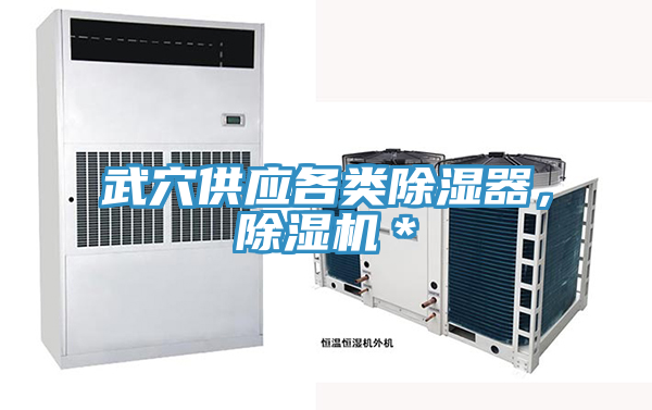 武穴供應(yīng)各類除濕器，除濕機(jī)＊