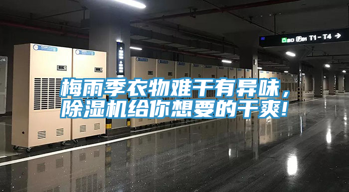 梅雨季衣物難干有異味，除濕機給你想要的干爽!