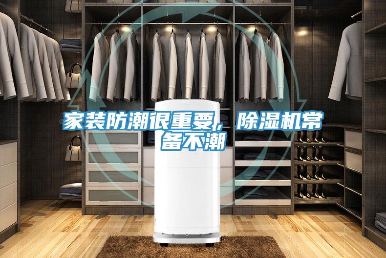 家裝防潮很重要，除濕機常備不潮
