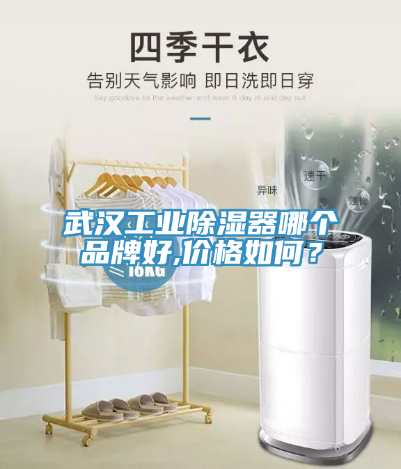 武漢工業(yè)除濕器哪個品牌好,價格如何？