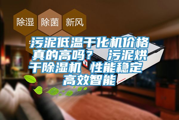 污泥低溫干化機(jī)價(jià)格真的高嗎？ 污泥烘干除濕機(jī) 性能穩(wěn)定 高效智能