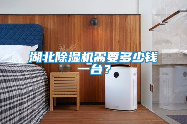 湖北除濕機(jī)需要多少錢(qián)一臺(tái)？
