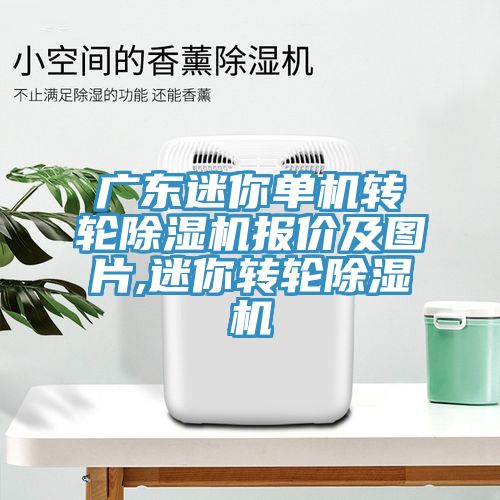 廣東迷你單機(jī)轉(zhuǎn)輪除濕機(jī)報(bào)價及圖片,迷你轉(zhuǎn)輪除濕機(jī)