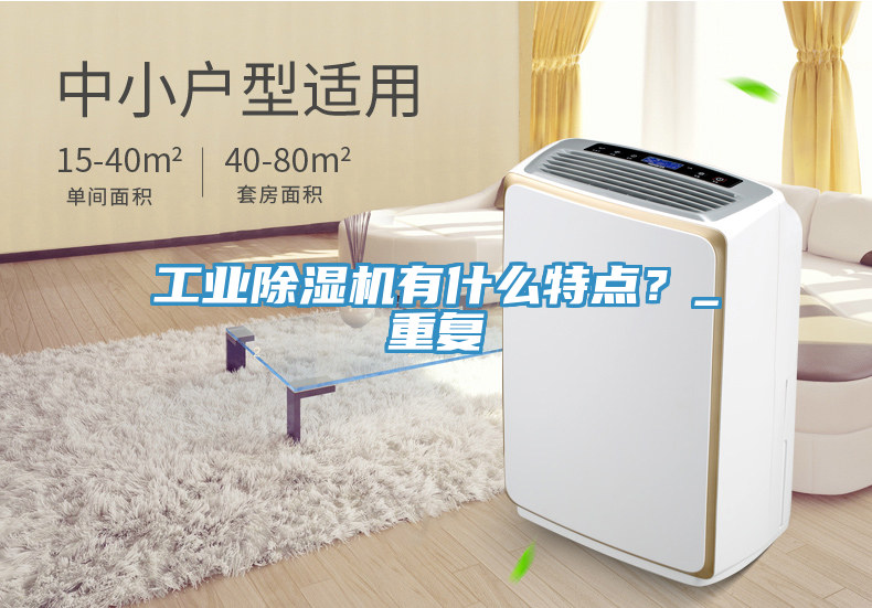 工業(yè)除濕機(jī)有什么特點？_重復(fù)