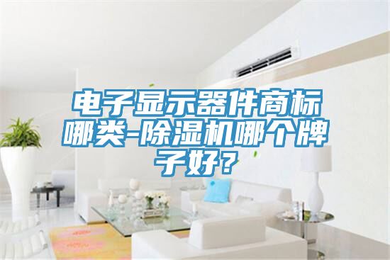 電子顯示器件商標(biāo)哪類-除濕機(jī)哪個(gè)牌子好？