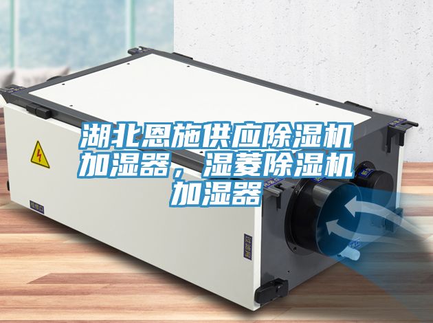 湖北恩施供應(yīng)除濕機(jī)加濕器，濕菱除濕機(jī)加濕器