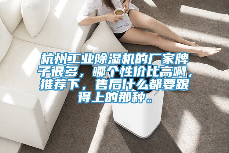 杭州工業(yè)除濕機(jī)的廠家牌子很多，哪個(gè)性?xún)r(jià)比高啊，推薦下，售后什么都要跟得上的那種。