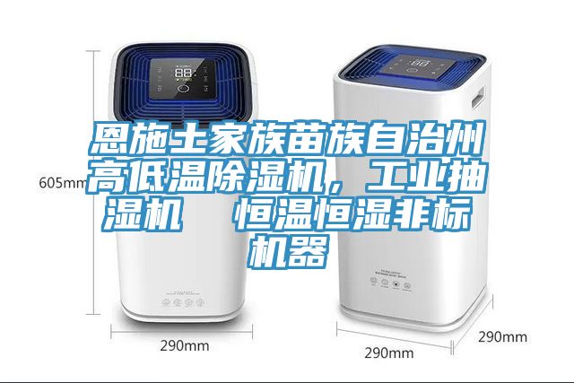 恩施土家族苗族自治州高低溫除濕機，工業(yè)抽濕機  恒溫恒濕非標機器