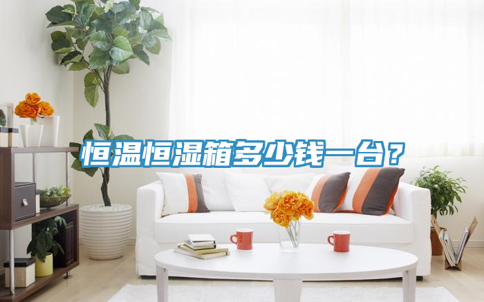 恒溫恒濕箱多少錢一臺？