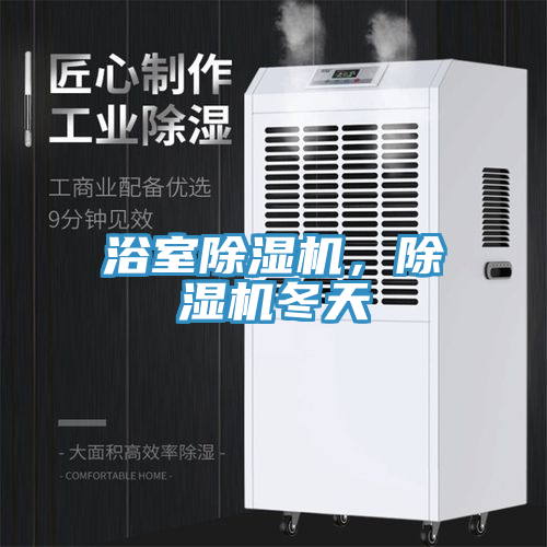 浴室除濕機(jī)，除濕機(jī)冬天