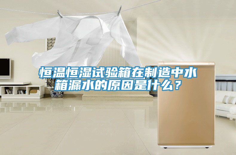 恒溫恒濕試驗(yàn)箱在制造中水箱漏水的原因是什么？