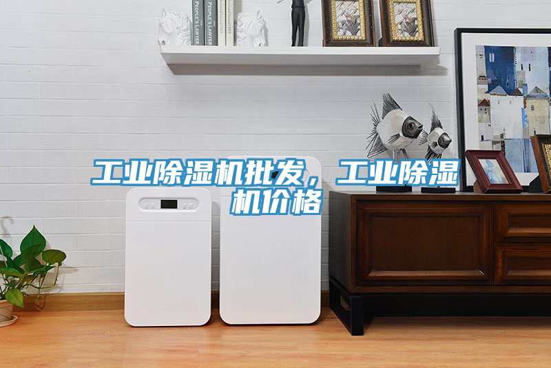 工業(yè)除濕機(jī)批發(fā)，工業(yè)除濕機(jī)價格