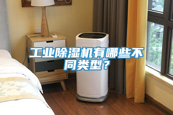 工業(yè)除濕機(jī)有哪些不同類型？