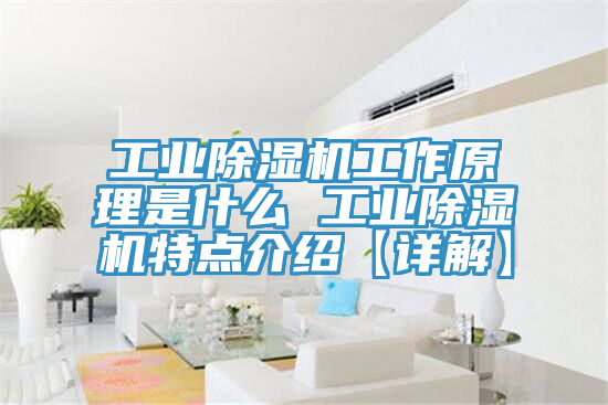 工業(yè)除濕機(jī)工作原理是什么 工業(yè)除濕機(jī)特點介紹【詳解】