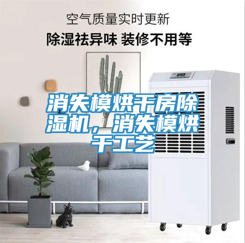 消失模烘干房除濕機(jī)，消失模烘干工藝