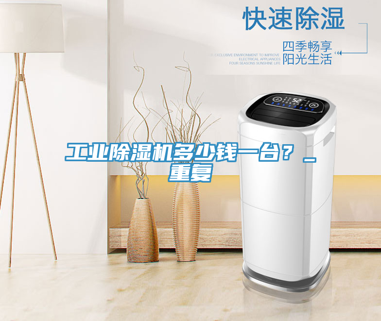 工業(yè)除濕機多少錢一臺？_重復