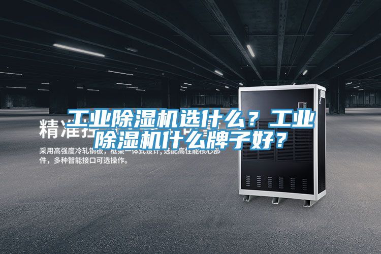 工業(yè)除濕機(jī)選什么？工業(yè)除濕機(jī)什么牌子好？
