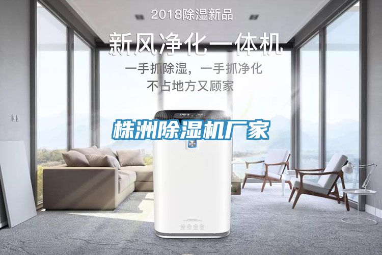 株洲除濕機(jī)廠(chǎng)家
