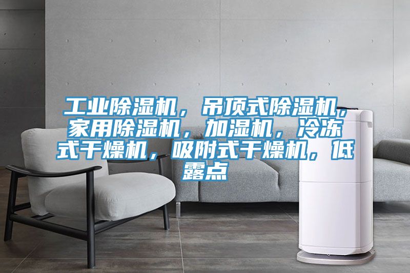 工業(yè)除濕機，吊頂式除濕機，家用除濕機，加濕機，冷凍式干燥機，吸附式干燥機，低露點