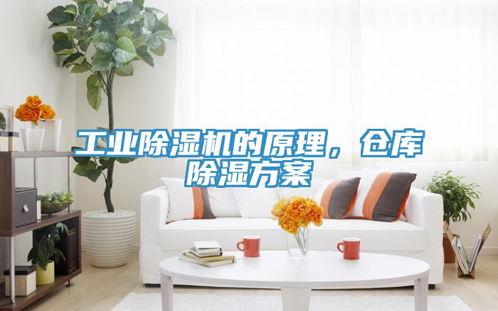 工業(yè)除濕機(jī)的原理，倉庫除濕方案