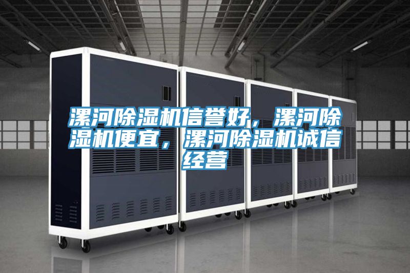 漯河除濕機(jī)信譽(yù)好，漯河除濕機(jī)便宜，漯河除濕機(jī)誠(chéng)信經(jīng)營(yíng)