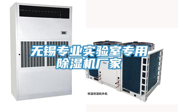 無(wú)錫專(zhuān)業(yè)實(shí)驗(yàn)室專(zhuān)用除濕機(jī)廠家