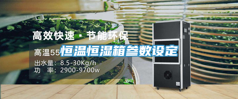 恒溫恒濕箱參數(shù)設定