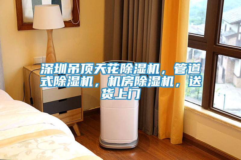 深圳吊頂天花除濕機，管道式除濕機，機房除濕機，送貨上門