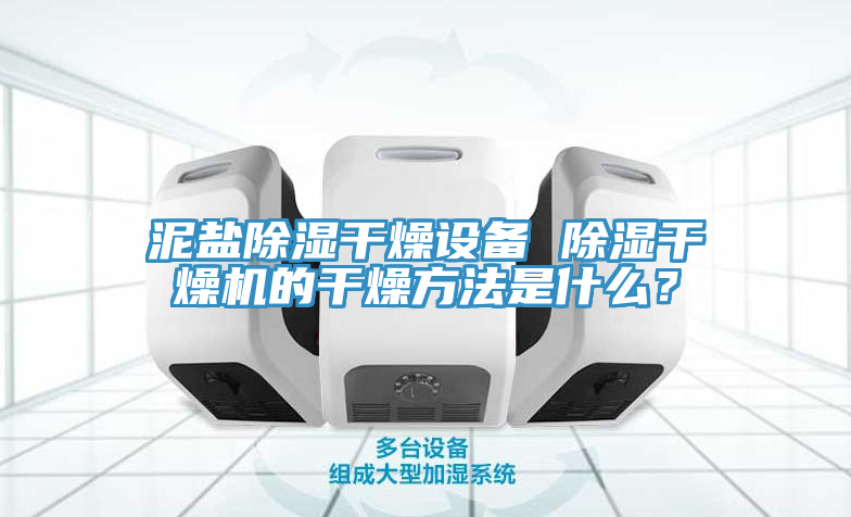 泥鹽除濕干燥設備 除濕干燥機的干燥方法是什么？