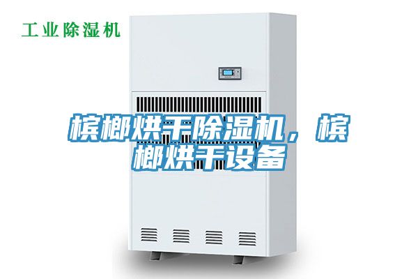 檳榔烘干除濕機(jī)，檳榔烘干設(shè)備