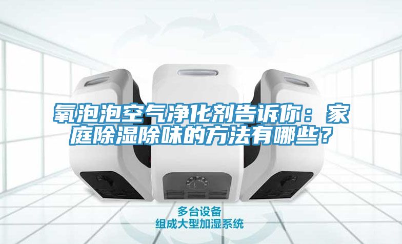 氧泡泡空氣凈化劑告訴你：家庭除濕除味的方法有哪些？