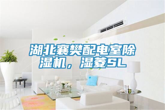 湖北襄樊配電室除濕機(jī)，濕菱SL