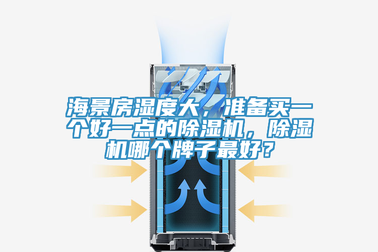 海景房濕度大，準(zhǔn)備買一個(gè)好一點(diǎn)的除濕機(jī)，除濕機(jī)哪個(gè)牌子最好？