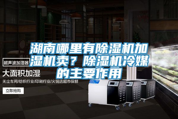 湖南哪里有除濕機(jī)加濕機(jī)賣(mài)？除濕機(jī)冷媒的主要作用