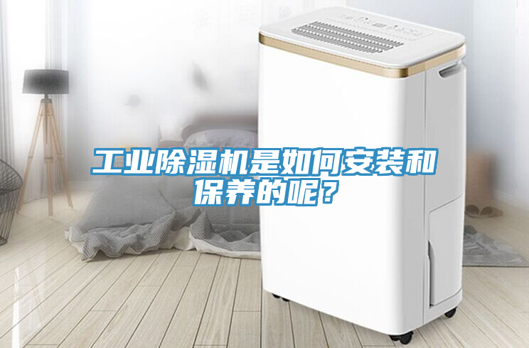 工業(yè)除濕機(jī)是如何安裝和保養(yǎng)的呢？