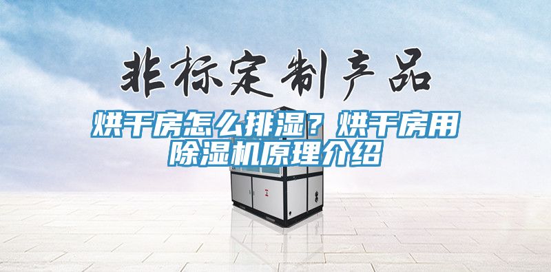烘干房怎么排濕？烘干房用除濕機(jī)原理介紹