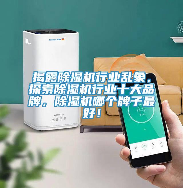 揭露除濕機行業(yè)亂象，探索除濕機行業(yè)十大品牌，除濕機哪個牌子最好！