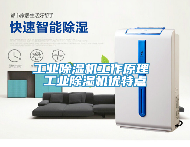 工業(yè)除濕機(jī)工作原理 工業(yè)除濕機(jī)優(yōu)特點
