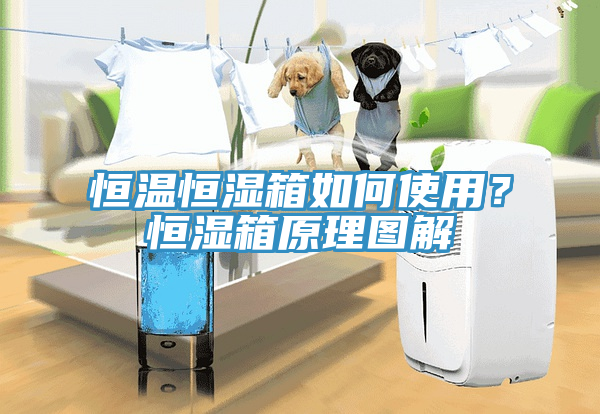 恒溫恒濕箱如何使用？恒濕箱原理圖解
