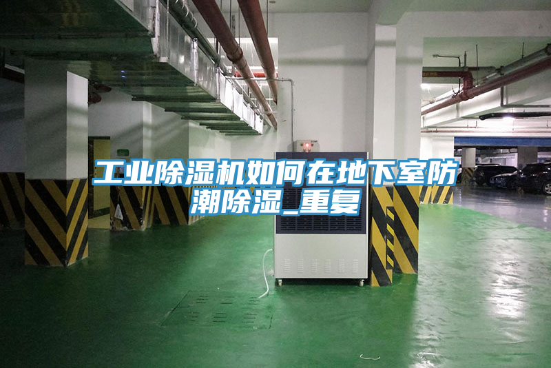 工業(yè)除濕機如何在地下室防潮除濕_重復