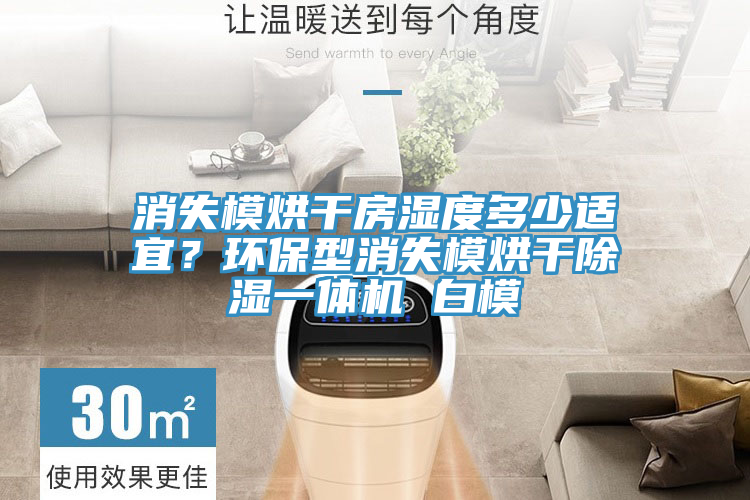 消失模烘干房濕度多少適宜？環(huán)保型消失模烘干除濕一體機(jī) 白模
