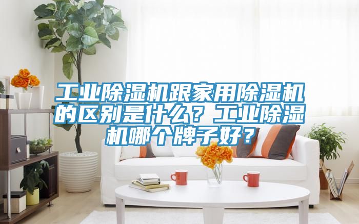 工業(yè)除濕機(jī)跟家用除濕機(jī)的區(qū)別是什么？工業(yè)除濕機(jī)哪個(gè)牌子好？